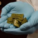 Oralna vakcina protiv bjesnila