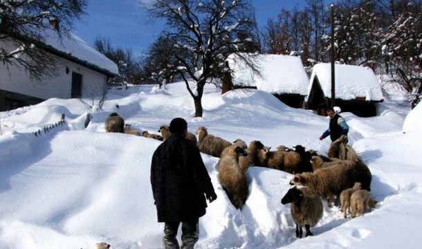 Višegradsko selo Kragujevac Višegradsko selo Kragujevac