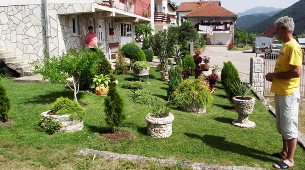 Bronzani cvijet Bronzani cvijet