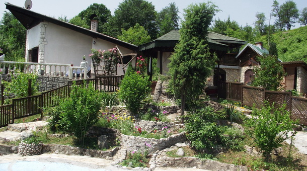 Srebrni cvijet Srebrni cvijet