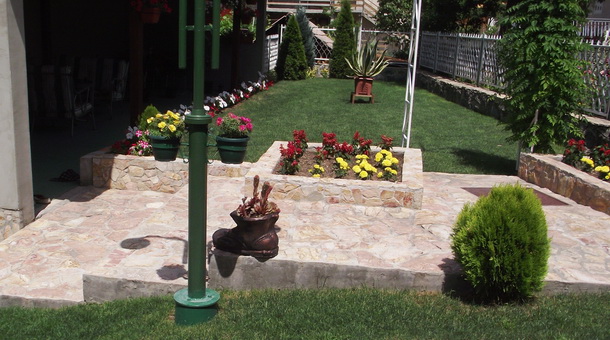 Zlatni cvijet Zlatni cvijet