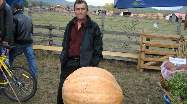 Kulić