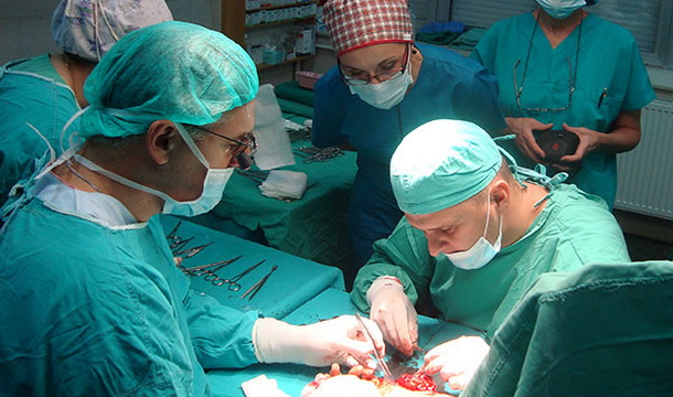 Doktorska disertacija Dražan Erić