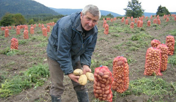 Dragan Džida sa krompirom