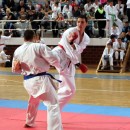Karate-Vidoje Andrić 2013