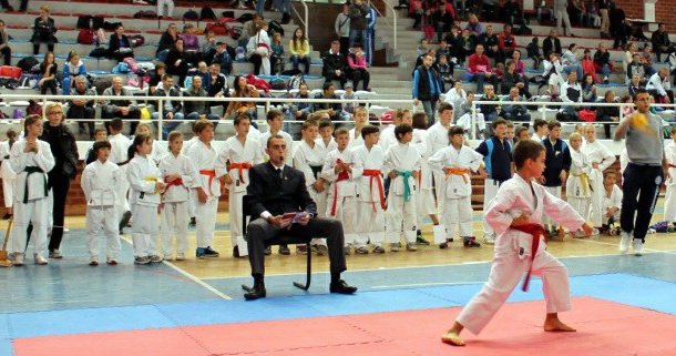 Mladi karatisti u Višegradu