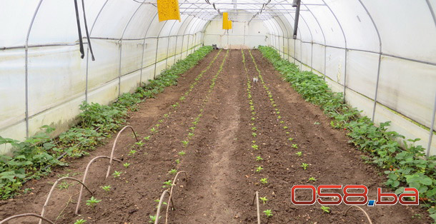 Smanjene poplave u Rogatici