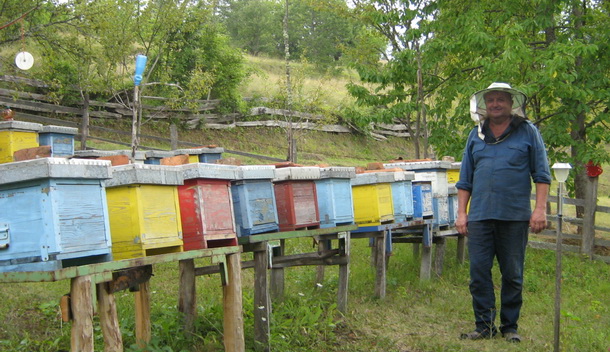 Pcelinjak u Rogatici