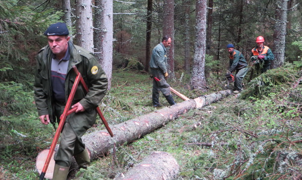 SG Sjemec-sjeca sume