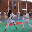 Karate u Visegradu