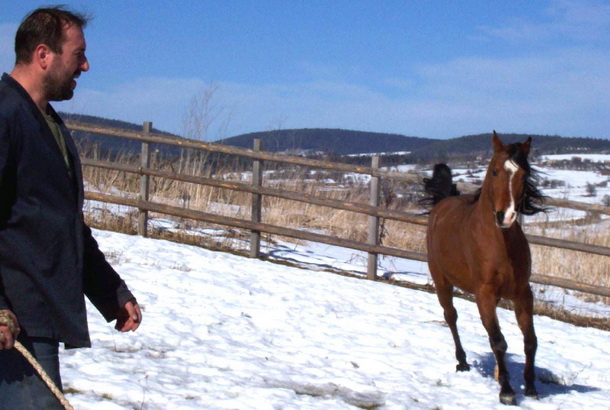 Ergela na Borikama 2