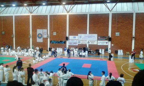 Karate Vidoje Andric