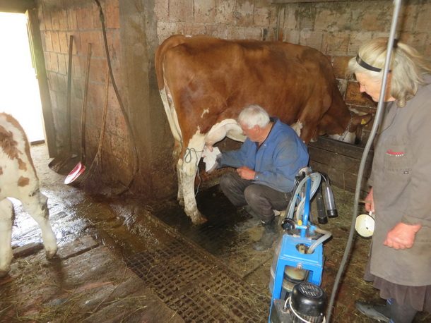 Mile i Stevka Jagodic 2