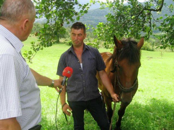 Ilindan na Zaborku (2)