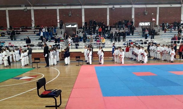 karate-vidoje-andric-1