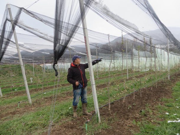 vocnjak-knezevic-u-rogatici-1