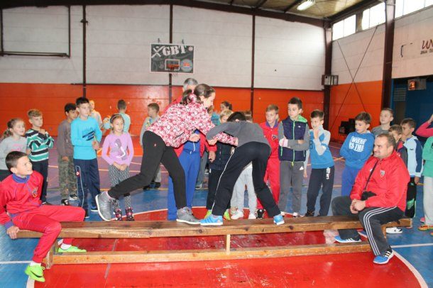 sokolske-igre-2017-3