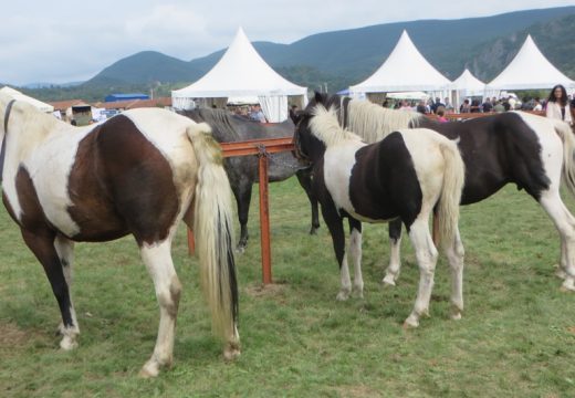 Održana 56. Poljoprivredna izložba u Rogatici [FOTO]