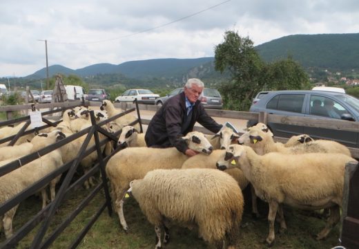 Održana 56. Poljoprivredna izložba u Rogatici [FOTO]