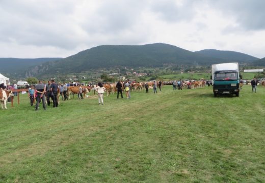 Održana 56. Poljoprivredna izložba u Rogatici [FOTO]