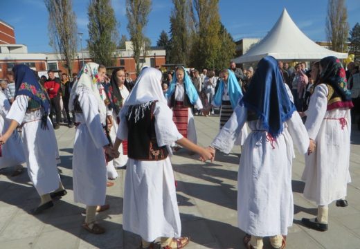 Rogatički krompir došao u Istočno Sarajevo [FOTO]