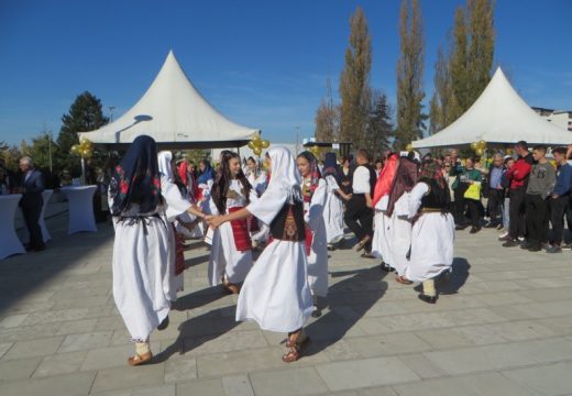 Rogatički krompir došao u Istočno Sarajevo [FOTO]