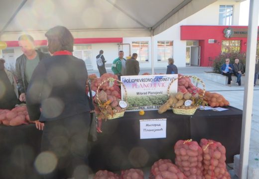 Rogatički krompir došao u Istočno Sarajevo [FOTO]