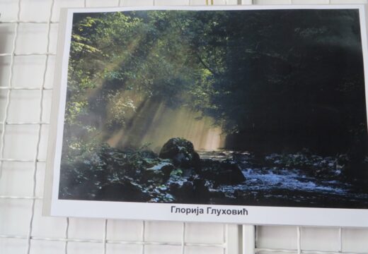Najljepša fotografija Glorije Gluhović [FOTO]