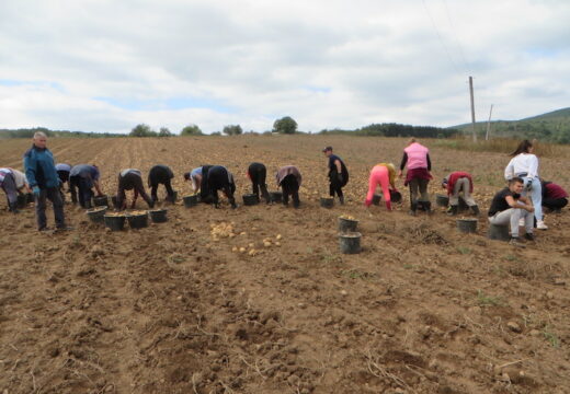 Rod solidan – fale berači [FOTO]