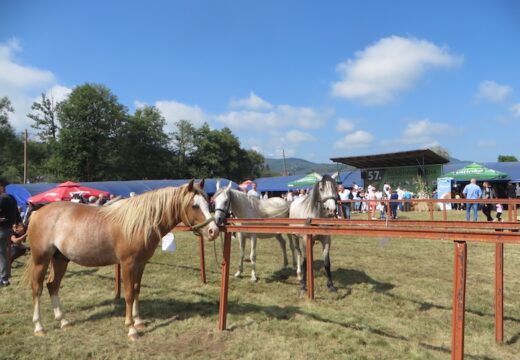 U susret 58. regionalnoj poljoprivrednoj izložbi u Rogatici