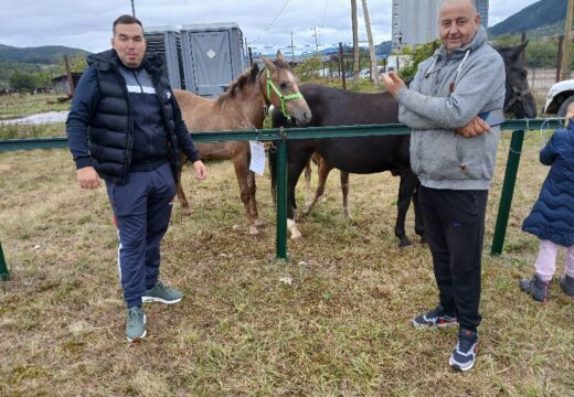 Poljoprivredna izložba u Rogatici kroz zanimljive fotografije