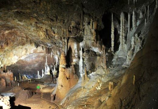 Idu li bolji dani Parku prirode „Prača“