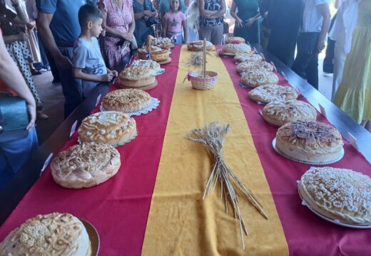 Okončan Ilindanski sabor „Borike 2026“ [FOTO]